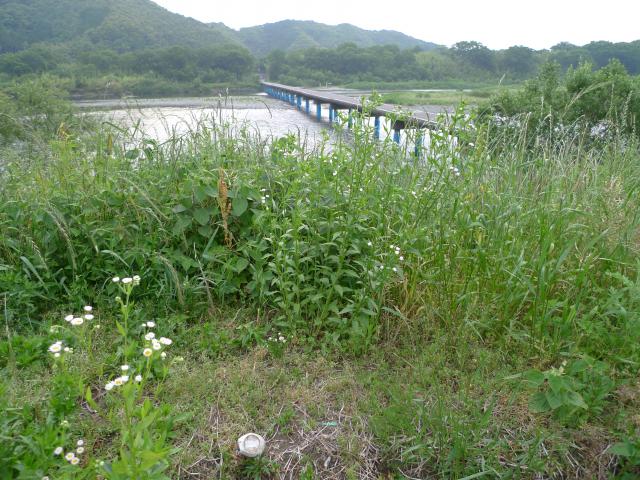 四万十川、悠久のいとなみ