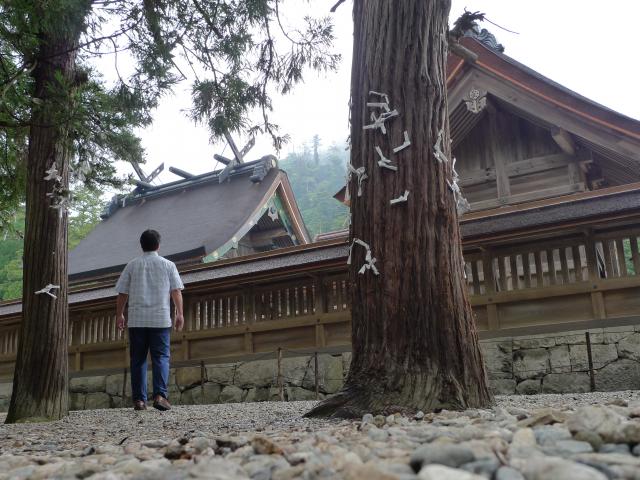 出雲大社、荒神谷遺跡、シマヘビ