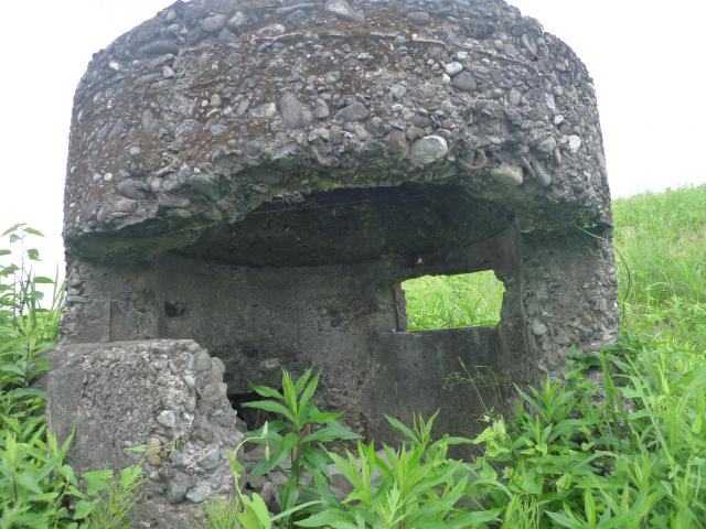 夏草の中の戦争
