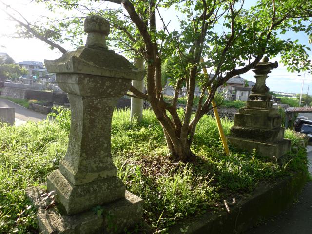 大自然に融け込む神社の美しさ