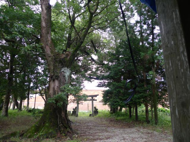若一王子神社さんと、激変した風景