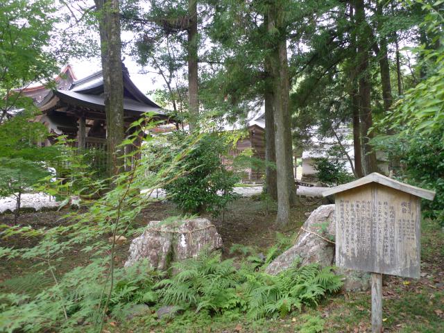土佐高賀茂大明神、ご両親