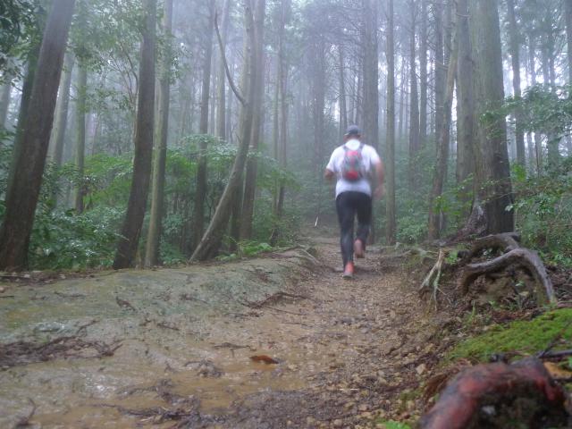 南嶺、マイナスイオンの森、雨の山RUN