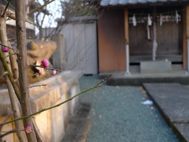 立田の天満宮、高視さんの不運