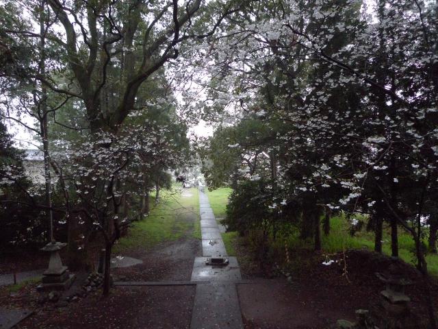 春雨と月形半平太