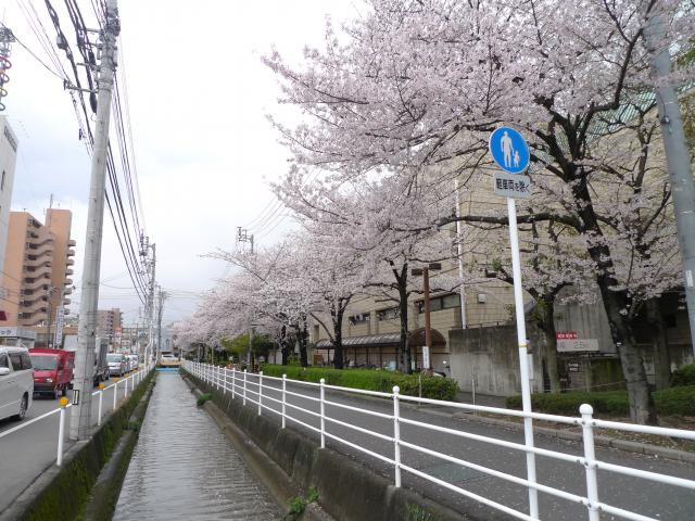 ネタがないときのにっこりひまわり