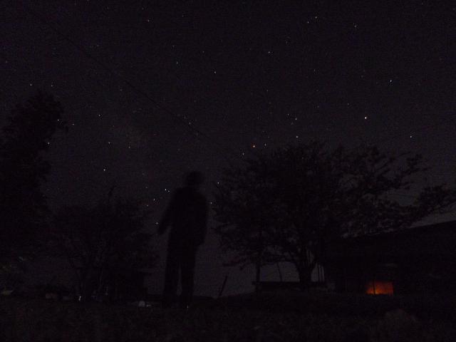 南の星々