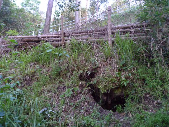 米軍上陸作戦と上岡山