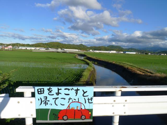 帰ってこないぜ