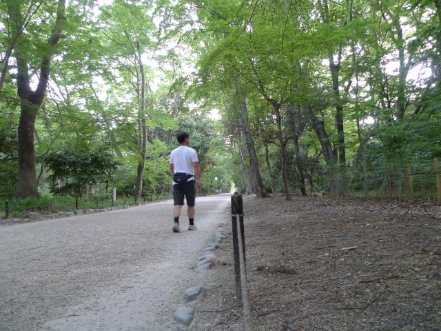 賀茂御祖神社の朝