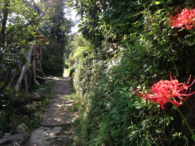 筆山、森の小径