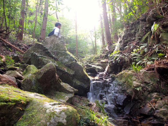 藪漕ぎシーズン到来、谷川の風景