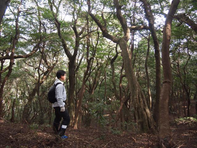 赤鬼山登拝記