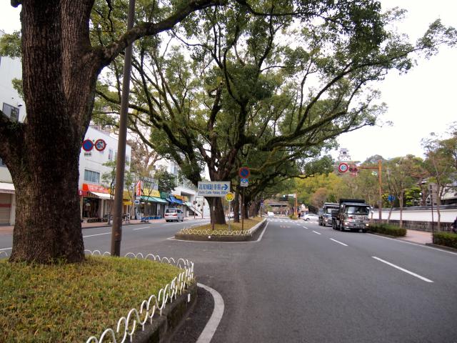 追手筋、街路樹、ここに防空壕があった証言