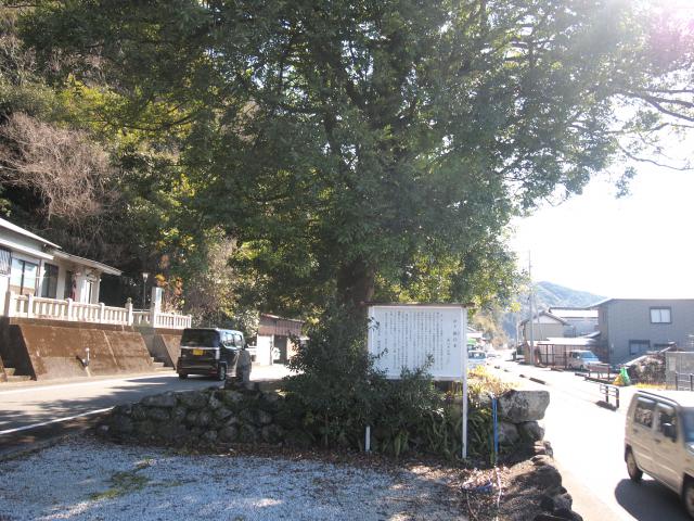 梛の木、「公共」の本質が見える美しい風景