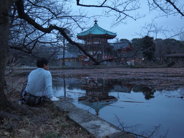 上野、不忍池