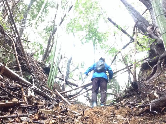 雨の宇津野峠越え