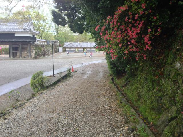 高知城とゴンドワナ大陸