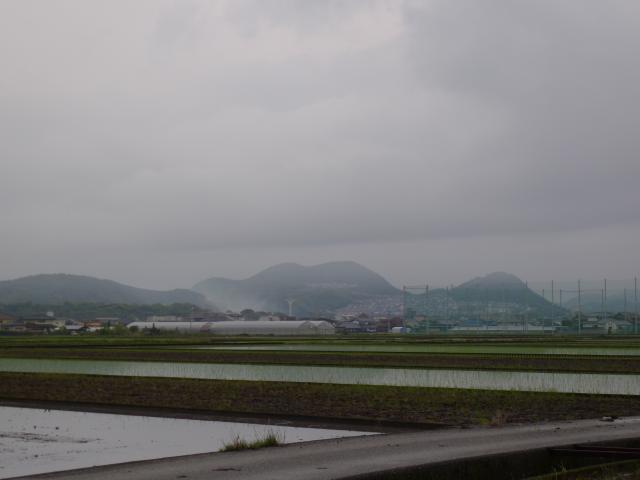 野田の田んぼ