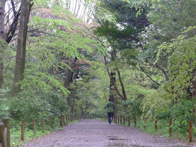 祝!にっこりひまわり12周年は、金沢城、本丸の森から