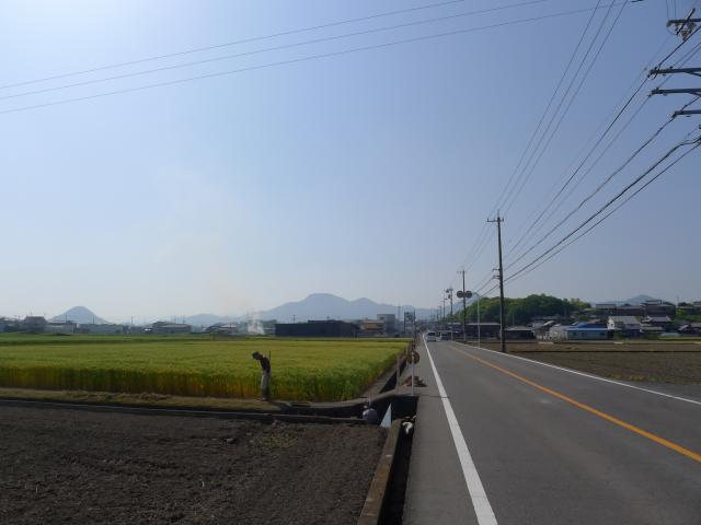 香川の洪積台地、ビュート、麦畑