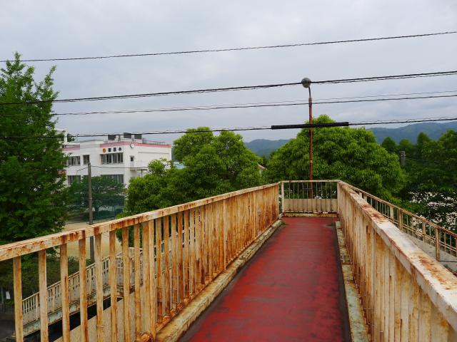 旧制高知高校、夢のような風景