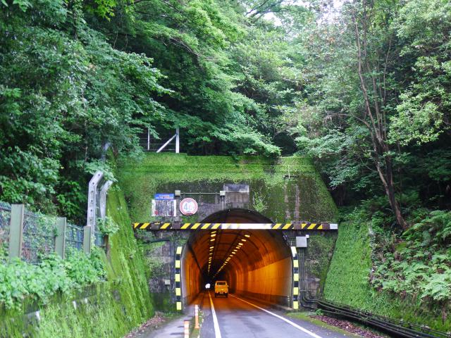 南海地震災害復旧事業、宇津野隧道
