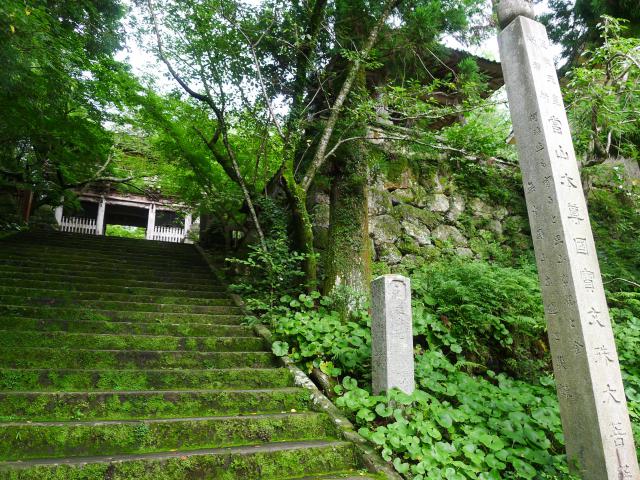 無いと思うな 運と災難