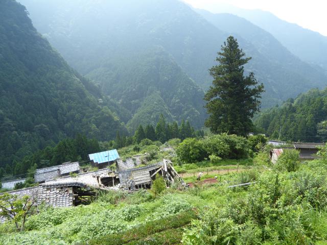 椿山