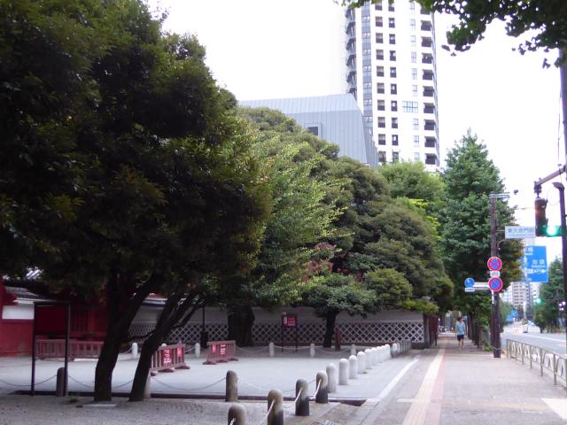 江戸の都市計画堪能ラン