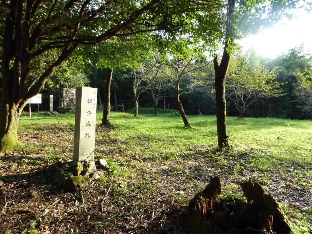 朝倉城が、土佐の中心となる日