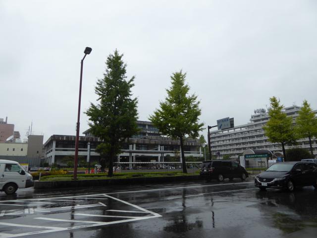 取り壊される市役所本庁舎、期待される発掘調査
