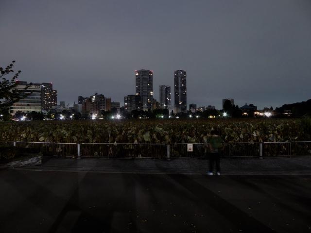 不忍池と東京の地形