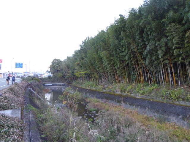 竹取の翁の仕事