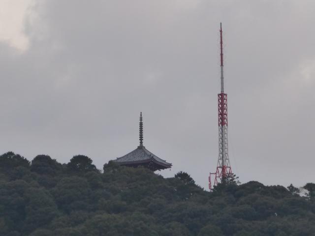 五台山竹林寺、真言宗、天台宗