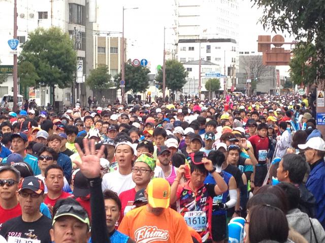 龍馬マラソンと御馭初、土佐人の遺伝子