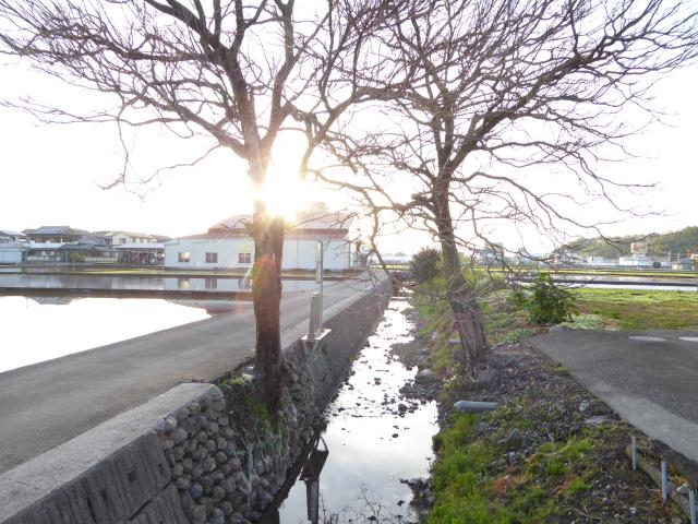 柏水、希義、平田俊遠の判断