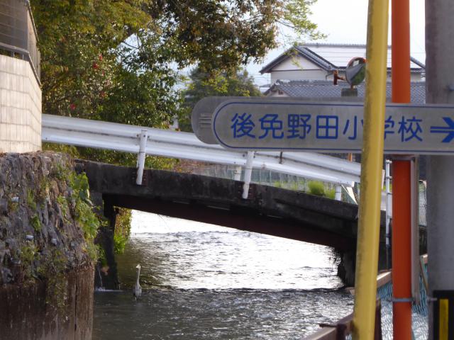 七つの丘の都市