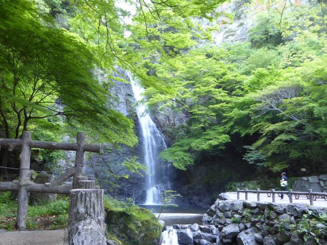 早朝、箕面の大滝