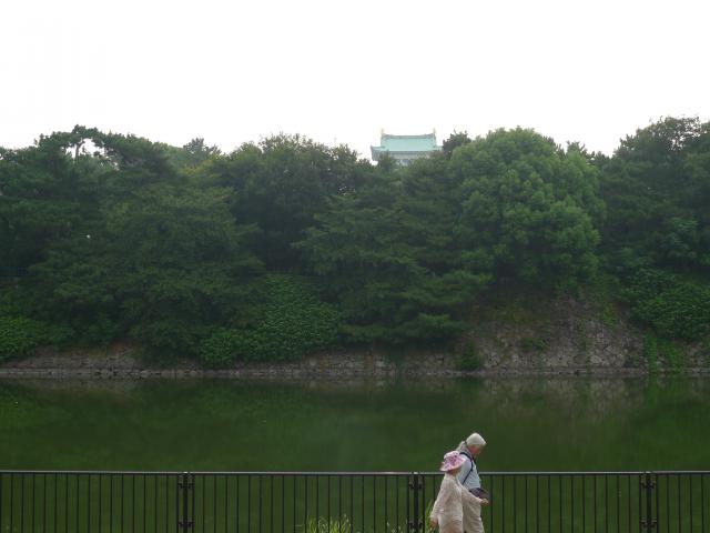 台地の角地の名古屋城
