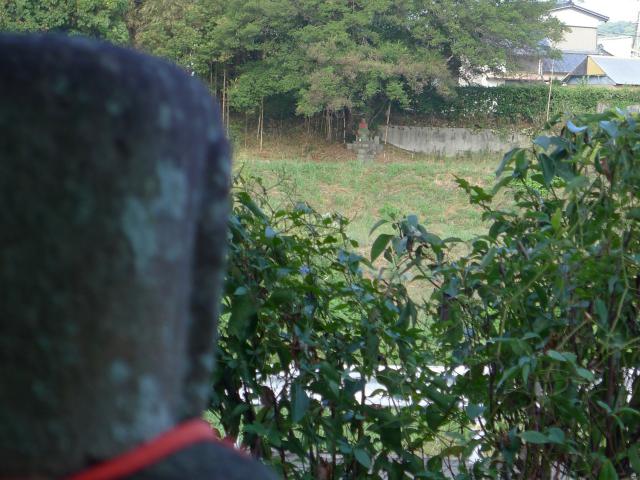 和食川、向かい地蔵さんの視点