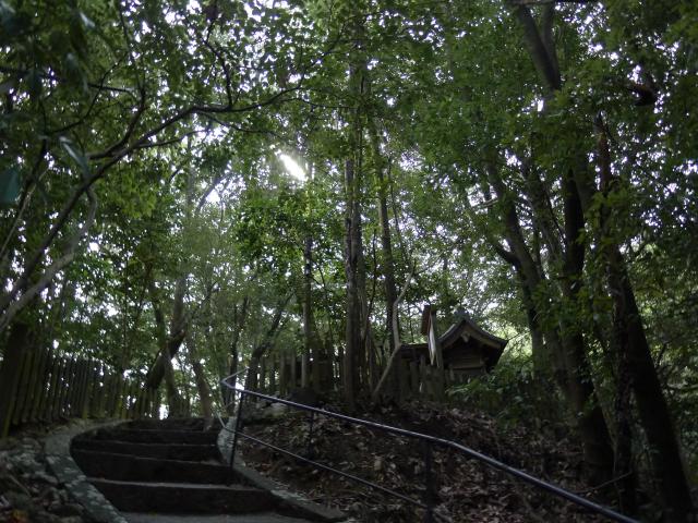 木花咲耶姫と大山祇神社