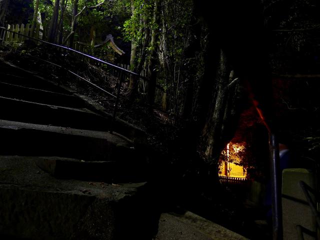 神社の後ろ側
