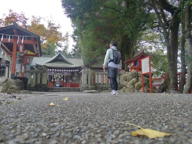 本宮神社の八頭神社