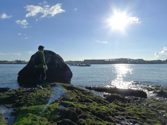 浦戸湾、海沿いを行く