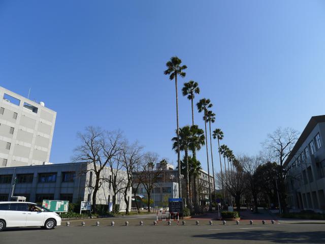 大学と教育と人材