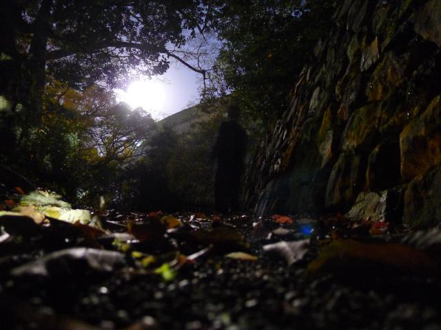 天神様の裏の細道