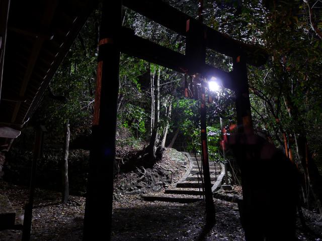 記憶の伝承と妄想