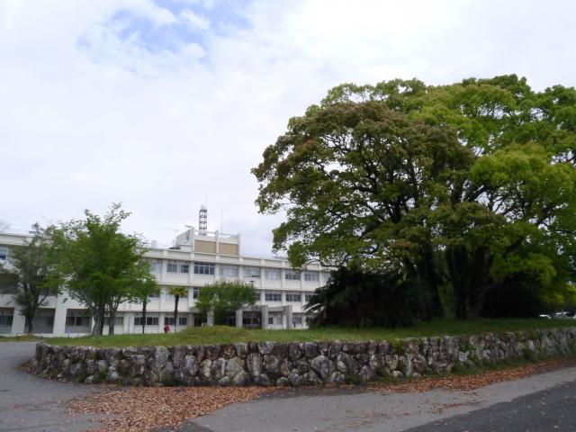 歴史の文脈の中で