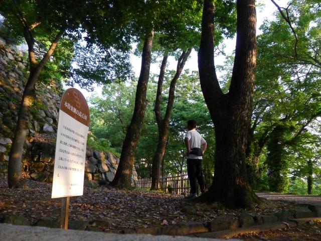 小早川秀秋を考える